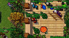 Shevagoal on screen