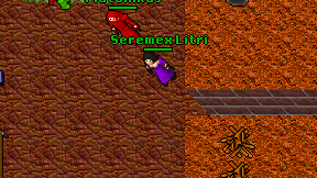 Seremex Litri on screen