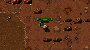 Krowiek on screen