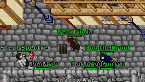 Deny Ninja on screen