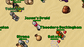 Jason's Druid on screen