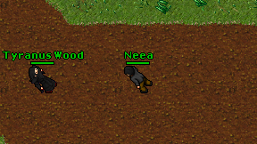 Neea on screen