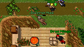 Diverse Max on screen