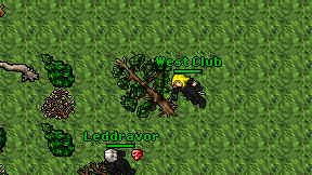 West Club on screen