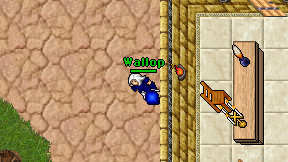 Wallop on screen