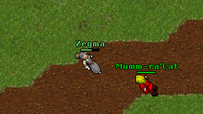 Zegma on screen