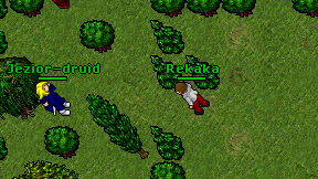 Rekaka on screen
