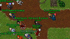 Nevor Kassa on screen