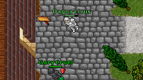 Dagna Licus on screen