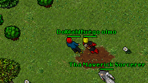 Don-Alert on screen