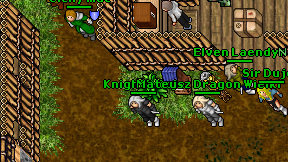 Knight'Ninja on screen