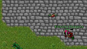 Euroty Hyypes on screen