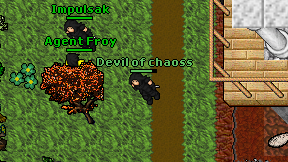 Devil of chaoss on screen