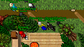 Omega-druid on screen