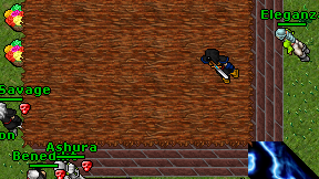 Eleganza on screen