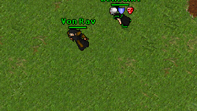 Von Rav on screen