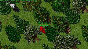 Satth on screen