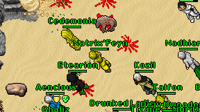 Natrix'Feyn on screen