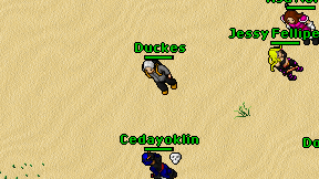 Duckes on screen