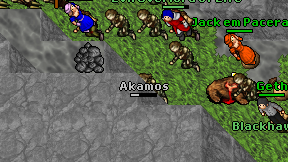 Akamos on screen