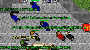 Lord Subzero of Dragoon on screen