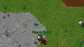 Mora Orto on screen