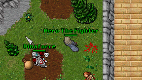 Hero The Fighter on screen