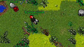 Balua ziom on screen