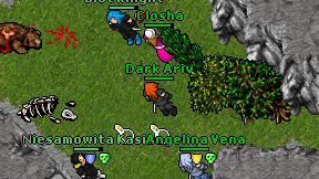 Dark Ariv on screen