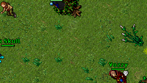 Daark Skull on screen