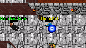 Mana Cat on screen