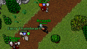 Araash on screen