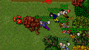 Dreissen on screen