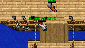 Sibum Paladyn on screen