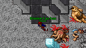 Divine Cactus on screen