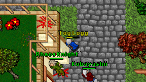 Tog Logg on screen