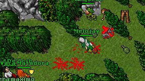 Melojay on screen