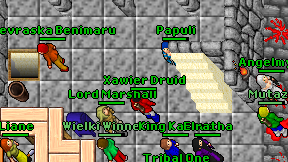 Xawier Druid on screen