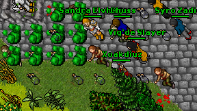 Xoakdiuz on screen