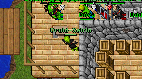 Druid-Xelrin on screen