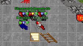 Kemshin on screen