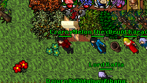 Czarny lis on screen