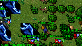 Maxnuta on screen