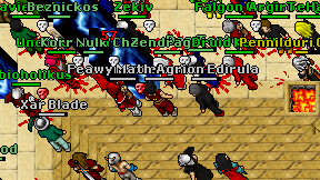 Math Archer on screen