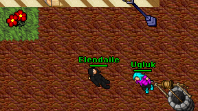 Elendaile on screen