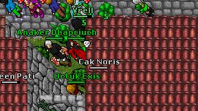 Cak Noris on screen