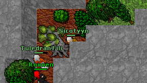 Nicotyyn on screen