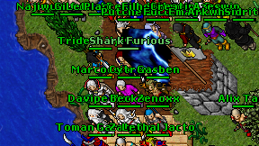 Shark Furious on screen