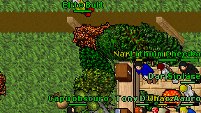 Elite Bolt on screen