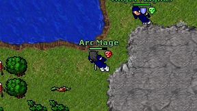 Arc Mage on screen